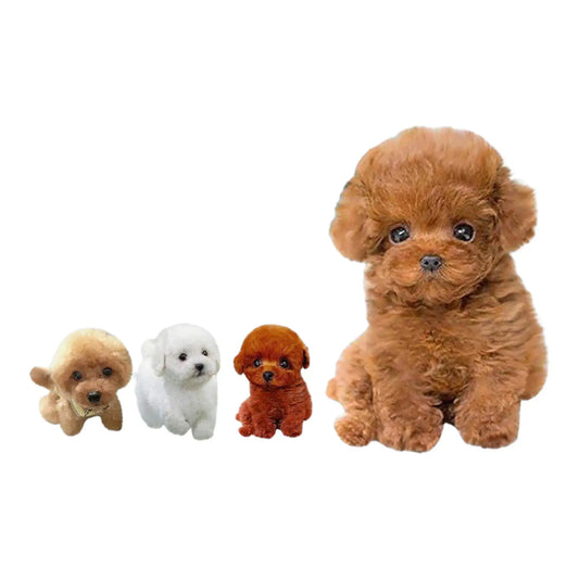 Four toy poodles of different sizes on a white background —Greater Toys Store